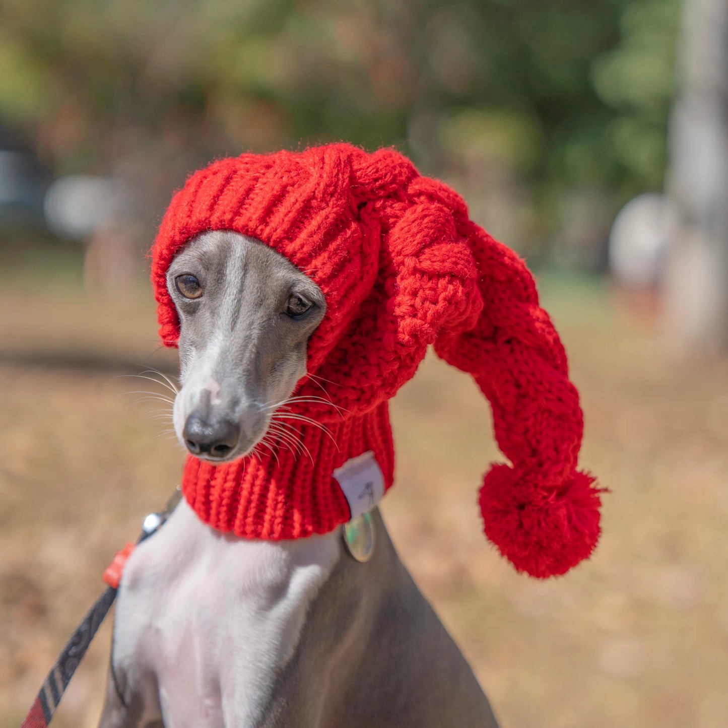 Whippet Winter Woolen Hat Red Pet Hat italian Greyhound Christmas Gift With Fur Ball Dog Hat