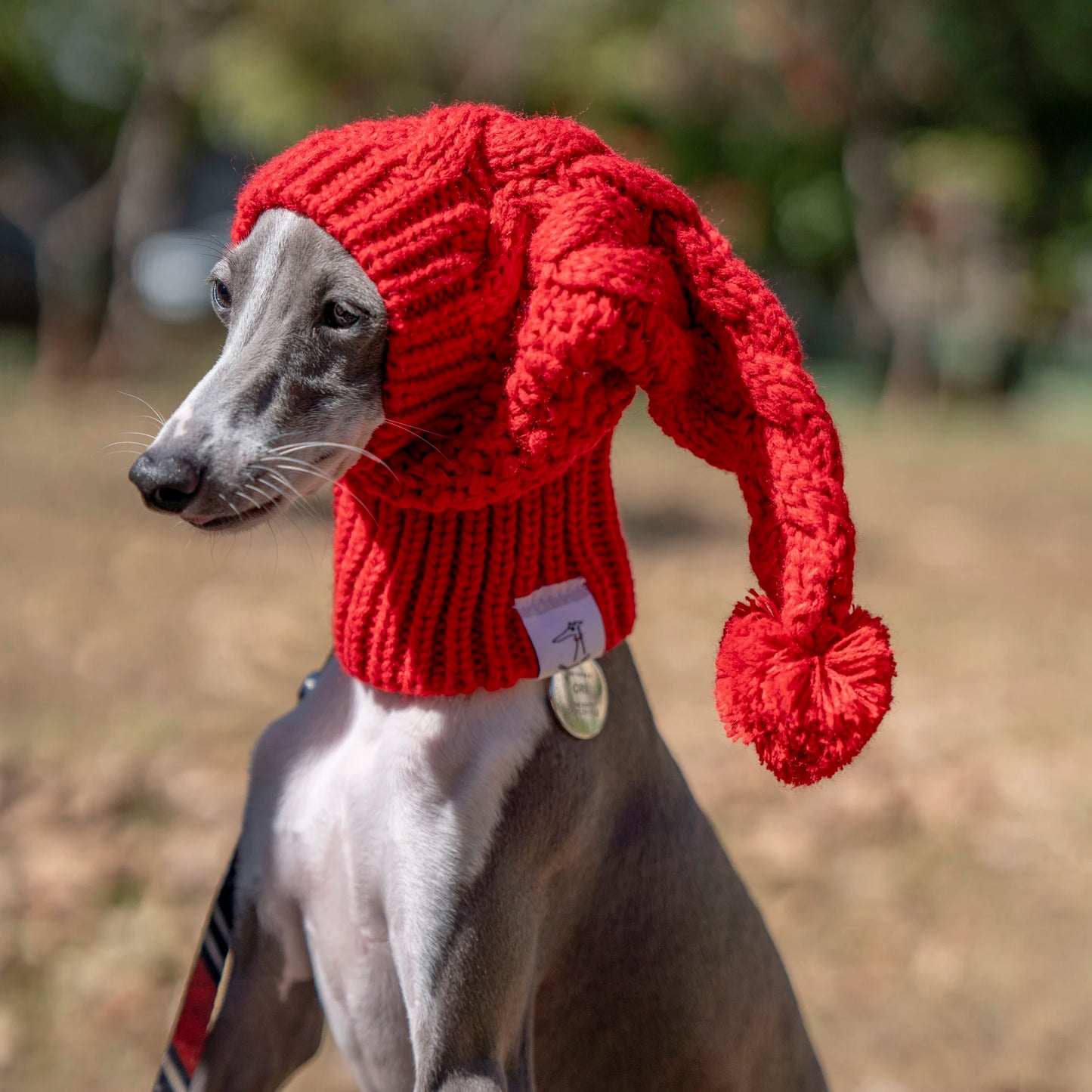 Whippet Winter Woolen Hat Red Pet Hat italian Greyhound Christmas Gift With Fur Ball Dog Hat